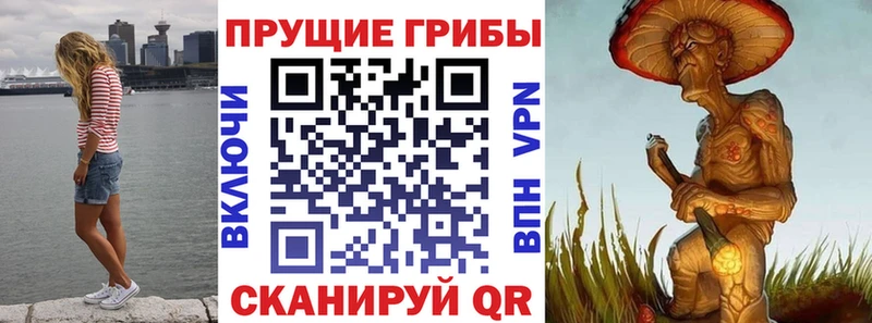 Псилоцибиновые грибы MAGIC MUSHROOMS  Чаплыгин 